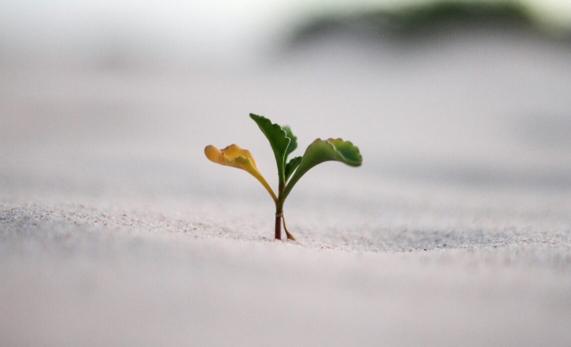 Courageously Correct